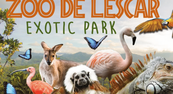 Exotic Park