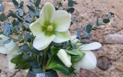 L’hiver à la Maison Labeye : mes 5 basiques pour des vacances en famille tout en douceur