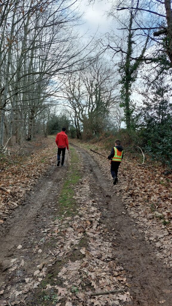 Sentier forestier pendant la balade du Château de Roquehort dans le Béarn