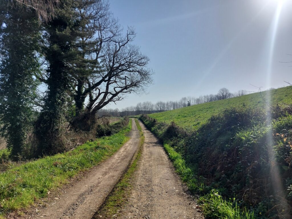 Vue sur la campagne du Béarn pendant une balade près du vignoble du Jurançon