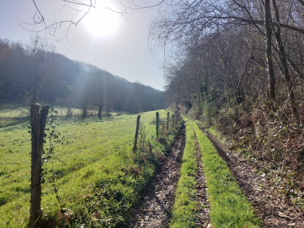 Paysage du Béarn et vignoble du Jurançon lors d’une balade autour de la Maison Labeye