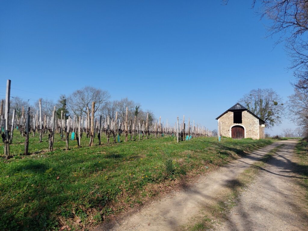 Paysage du Béarn et vignoble du Jurançon lors d’une balade autour de la Maison Labeye