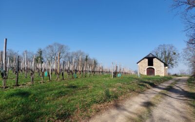 Balades autour de la Maison Labeye : nos randonnées à moins d’une heure