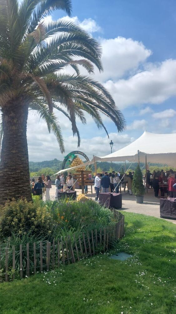 Ambiance conviviale lors de la Terrasse du Jurançon au printemps à Pau