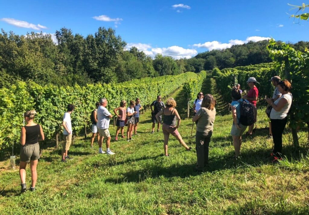 Balade dans les vignes du Jurançon avec des visiteurs au cœur du vignoble